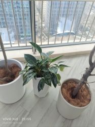 -HEYAN荷妍专业脱毛连锁机构