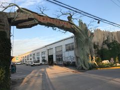 -龙大花卉苗木市场