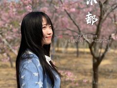 -天适樱花悠乐园