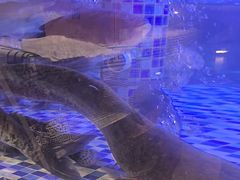 -后湖小院·乡野田园菜