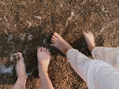 -广东惠东海龟国家级自然保护区