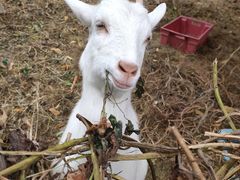 -杭州师范大学(下沙校区)