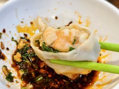 九鲜饺子-宝源饺子(麦子店街店)