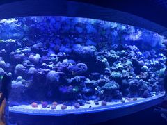 -太平洋海底世界