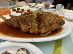 老济南糖醋鲤鱼-金春禧(世茂国际广场店)