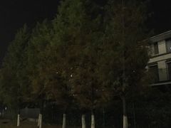-田园东方蜜桃村的田野营地