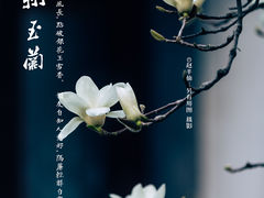 -耦园