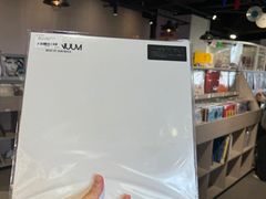 -浣熊唱片店(上海影城店)