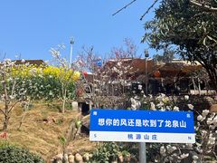 -桃源山庄·水蜜桃采摘·柴火鸡·烧烤团建(龙泉山店)