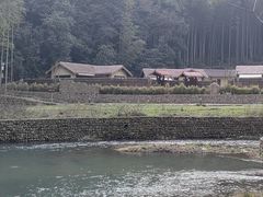 -五泄景区