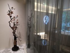 -康颜SPA自然疗愈皮肤管理中心