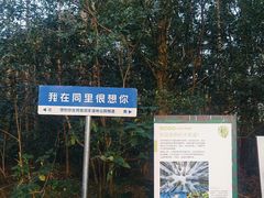 -同里国家湿地公园
