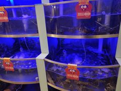 水产区-七欣天(浦东羽山乐坊店)