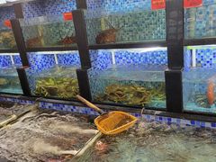 水产区-汤记传菜(秀浦路店)