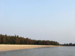 -东郊椰林