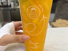 -雾与山茶(大禹城店)