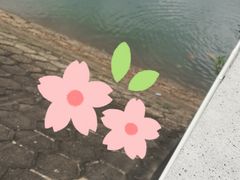 -红花湖景区
