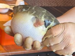 -永安鱼庄·镇江菜(丁卯店)