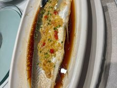 黄椒蒸翘嘴白鱼-羲和雅苑•北京烤鸭(陆家嘴中心店)