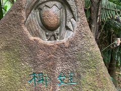 -呀诺达热带雨林