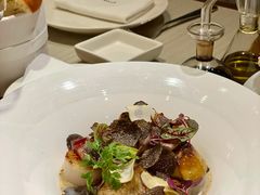 日本带子-Atto Primo