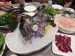 苏鼠石斑鱼-围炉夜话·潮汕卤水火锅(榕江店)