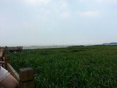 江边-上海长江河口科技馆