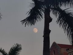 -集美学村