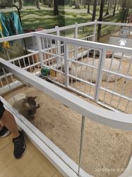 -小象动悟公园(龙湖亦庄天街店)