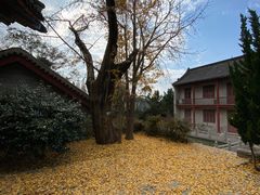 -青岛崂山太清宫