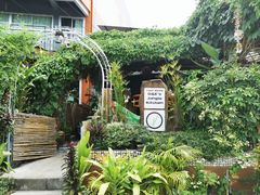 -Jungle Kitchen
