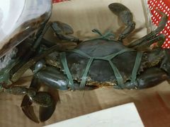 -龙海鲜螃蟹王(宏茂桥店)