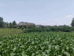 -两河城市森林公园