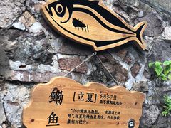 -东沙渔村