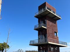 -春花秋色城市公园