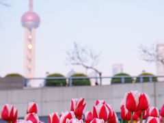-外滩
