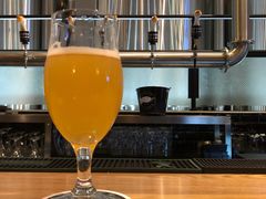 -Goose Island Brewhouse鹅岛精酿啤酒酿造工坊餐厅