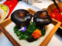 -小龙翻大江文化火锅(宽窄店)
