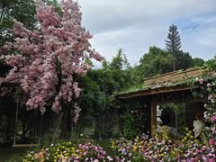 -HERRE·FARM 赫尔露营农场·团建聚会包场