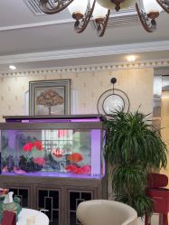 -安院长·产后恢复·徒手骨盆(先天下店)