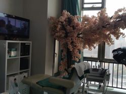 -黑奥秘脱发白发中心