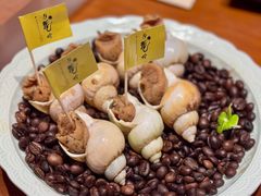 -月龍吟(朝龙汇店)