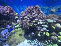 -长隆横琴湾酒店(珠海旗舰店)