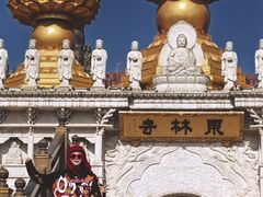 -上海东林寺(金山区)