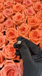 -I Do(重庆龙湖北城天街购物广场店)