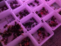 -宝鸡东道花鸟鱼虫市场(吉利花园商场店)