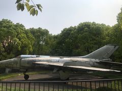 -紫薇公园