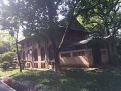 -中山大学学者灵芝(园南路店)
