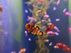 -哈尔滨波塞冬海底世界