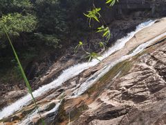 -广州白江湖森林公园